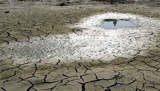 La FAA pide al gobierno que extienda la emergencia agropecuaria