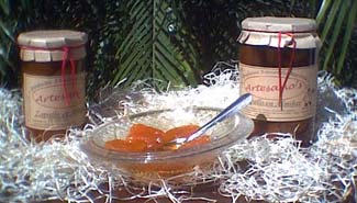 Colón pasó dos días sin agua y malestar de turistas