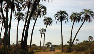 Oficialmente casi no queda lugar donde alojar turistas