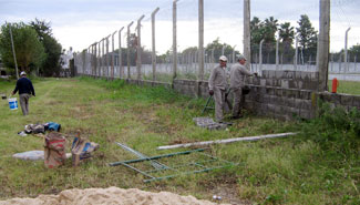 Trigo: el problema no es el precio sino la falta de transparencia en el mercado