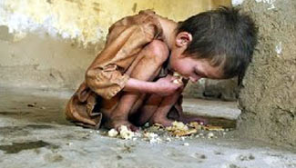 Hay más de mil millones de hambrientos en el mundo