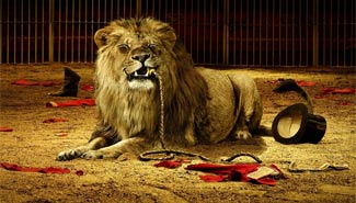 Diputados quieren que se prohíba el uso de animales en espectáculos