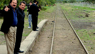 Quieren poner en funcionamiento 3 formaciones de trenes antes de diciembre