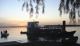 Se decretó la emergencia agropecuaria por la crecida del río Paraná