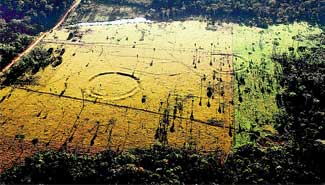 Descubren una civilización avanzada en el Amazonas