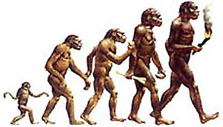 Encuentran fósiles reveladores de la evolución humana