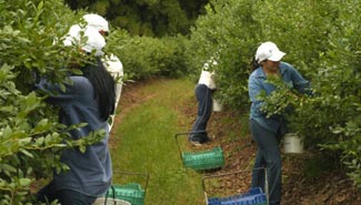 El Sindicato de la Fruta podrá afiliar a trabajadores de otras provincias