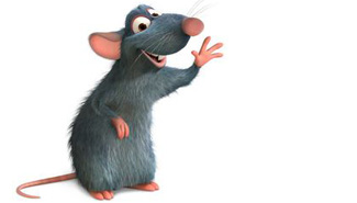 Un ratón puso en vilo la energía de Paraná