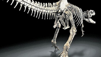 Subastan el esqueleto de un dinosaurio en una casa de remates