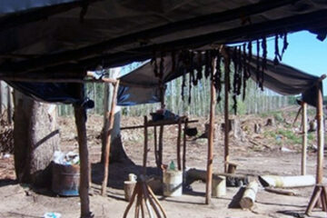 Concordia: detectaron que un hombre era sometido a trabajo esclavo