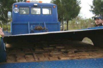 Secuestraron casi 1.000 kilos de marihuana