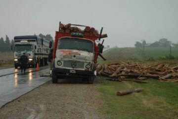 Un camión volcó su cargamento en cercanías a Victoria