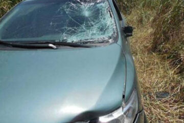 Un hermano de Alfredo Yabrán atropelló y mató cerca de Gualeguay