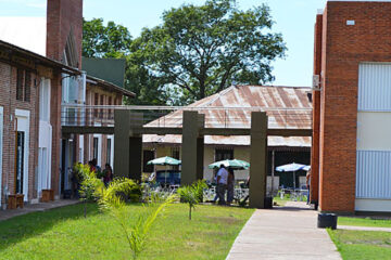 Oficial: la UNER abre Medicina en 2016