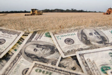 Agroexportadores aceleran liquidación de divisas del campo