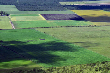 Suspenden los loteos y frenan negociados