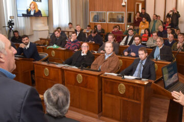 Principales opiniones de los partidos