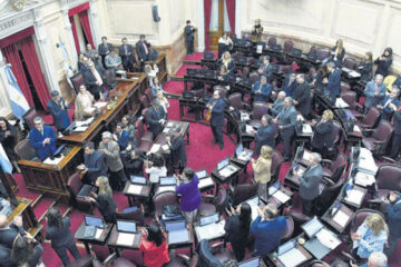 Disputa por los tiempos en el Senado (senador entrerriano habla del aborto legal)
