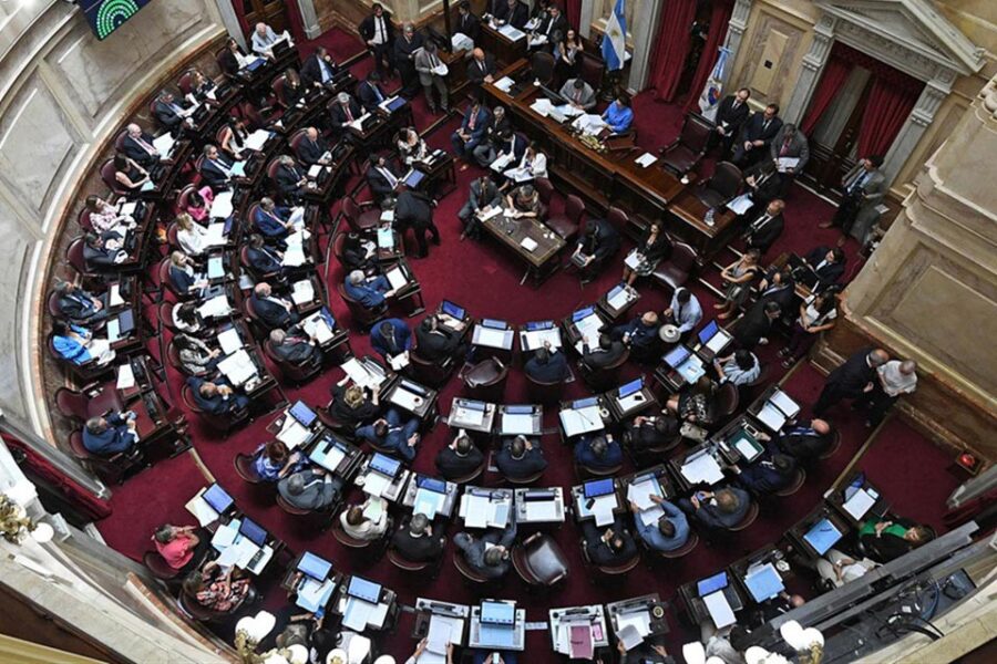 El Senado trataría el aborto en agosto y crece la polémica (cruce entrerriano a Michetti)