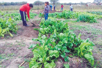 Desamparo a los pequeños productores (repudian el ministerio del entrerriano Etchevehere)