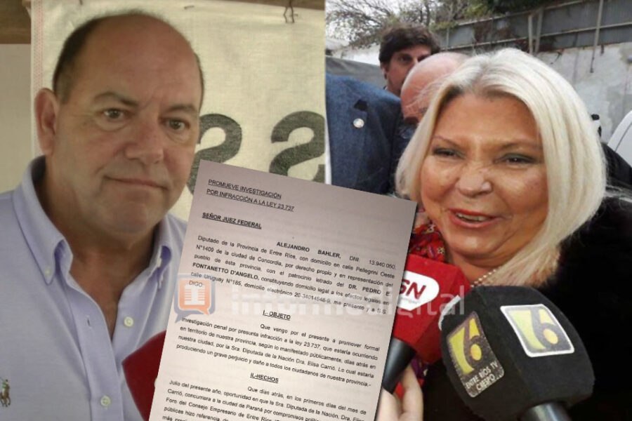 Bahler pidió que la Justicia cite a Carrió