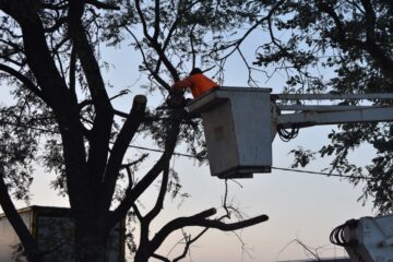 Trabajos integrales de mantenimiento en el Parque Industrial