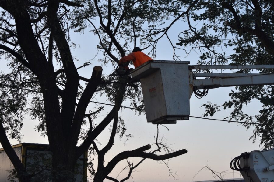 Trabajos integrales de mantenimiento en el Parque Industrial