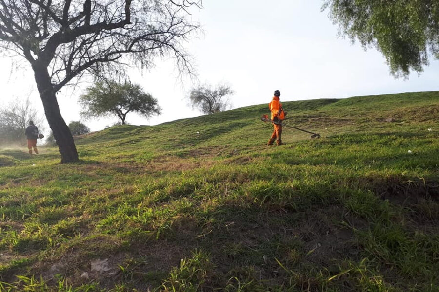 Tareas de limpieza en el área costera de Bajada Grande
