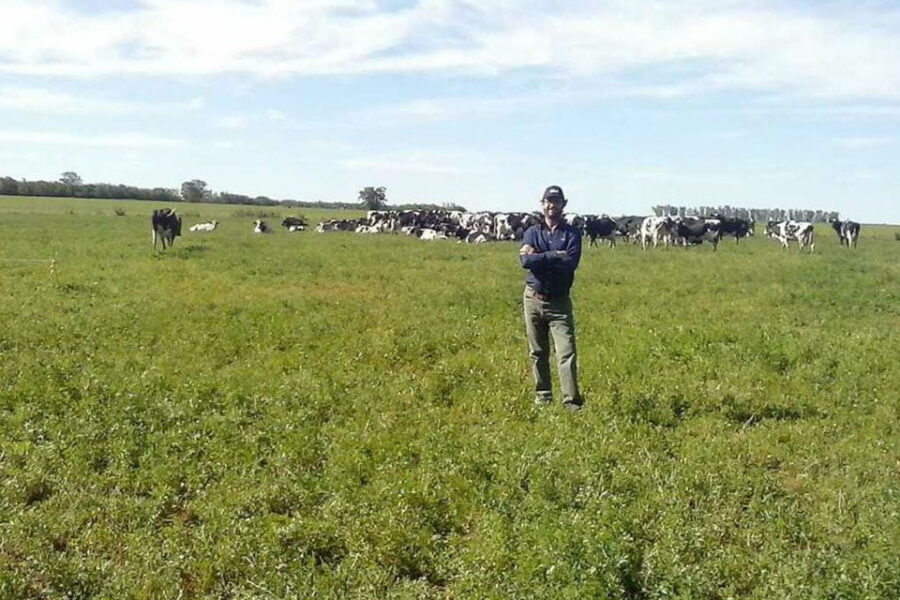 Entre el cierre y la venta forzada de vacas: el duro momento de muchos tambos (la realidad de un productor entrerriano)