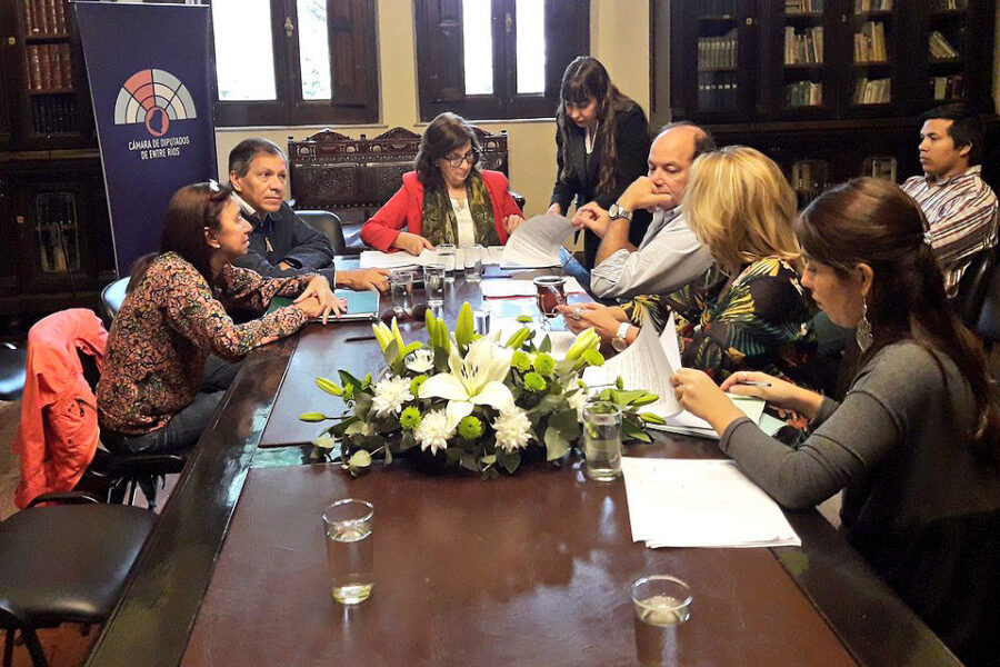 Analizan que se aprenda Educación Sexual Integral en todo Entre Ríos