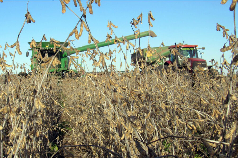 Por las lluvias peligra la cosecha en Entre Ríos y otras provincias