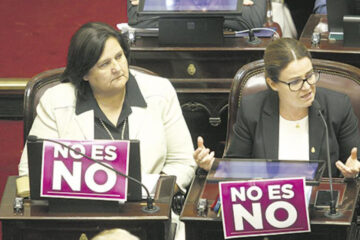 Un Senado unánime (media sanción a ley que lleva el nombre de una entrerriana asesinada)