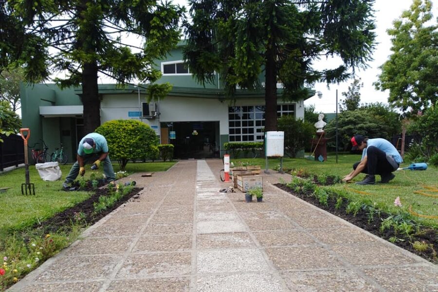 Tareas de jardinería en un edificio municipal