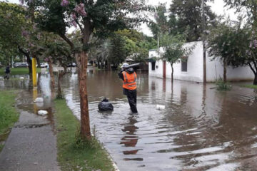 Termina un enero candente, agitado por inundaciones, incendios y hantavirus (evacuaciones en Entre Ríos)
