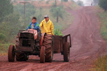 Infraestructura: crean una Mesa Nacional de Caminos Rurales (referencia a Entre Ríos)