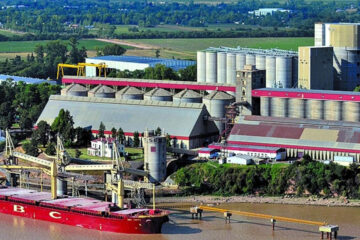 Un estudio demuestra el peso histórico de las cadenas agroindustriales (se destaca Entre Ríos)