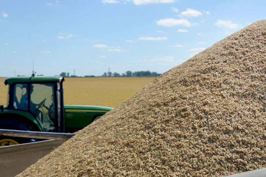 La producción de arroz, en crisis por las inundaciones (reclamo de productores entrerrianos)