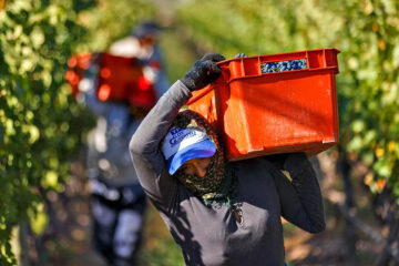 Las economías regionales, en el centro de la agenda productiva (exportaciones entrerrianas)