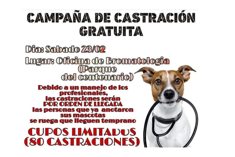 80 castraciones gratuitas disponibles