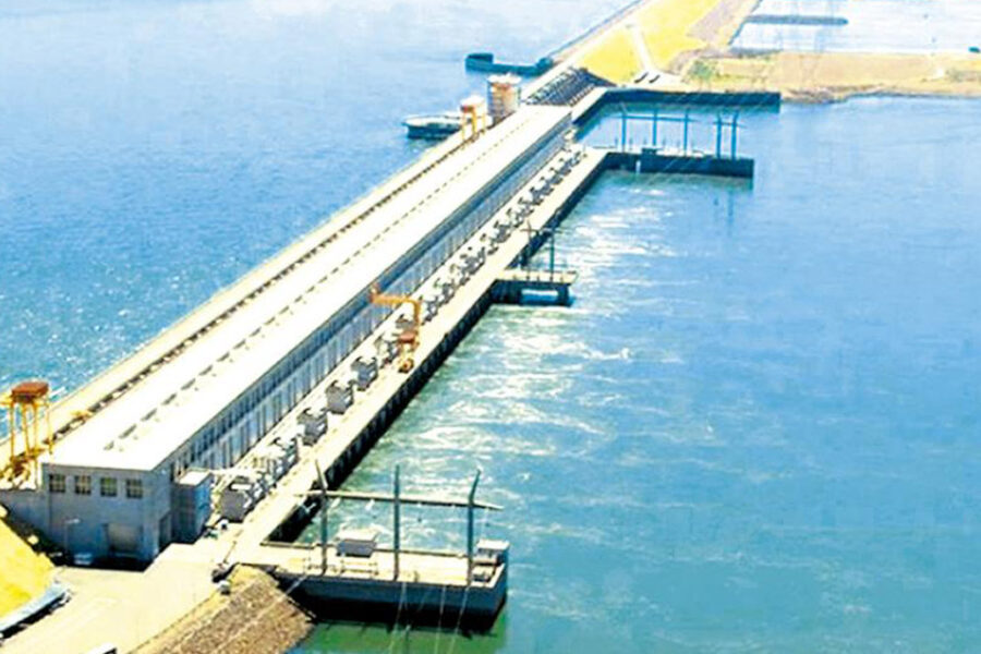 A remar para salvar los ríos y humedales (actividad en defensa de los ríos en Entre Ríos)