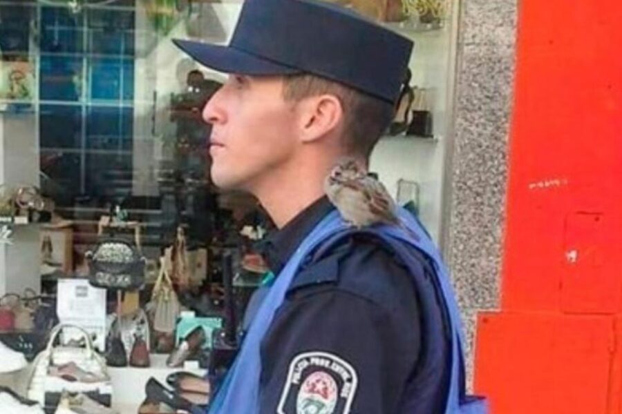 Un policía le dio de comer a un gorrión y se armó una polémica (en Entre Ríos)
