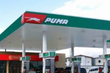 Tres nuevas marcas de naftas pelean el mercado local (reactivación de la demanda de combustibles en Entre Ríos)