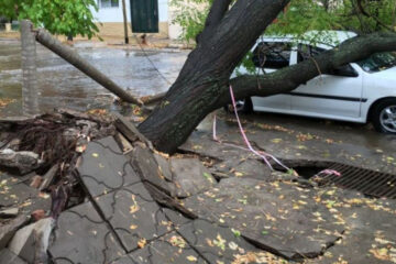 Salió a correr, lo sorprendió una tormenta y murió aplastado por una rama