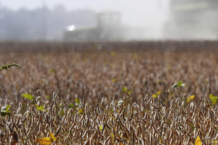 Una semana para avanzar con la cosecha: las lluvias llegarían recién el sábado (habrá lluvias en Entre Ríos)