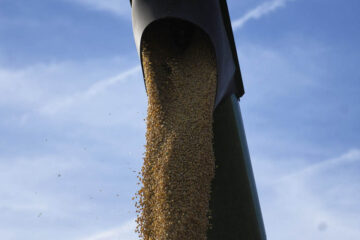 Querían destrabar la ley de semillas, pero la oposición en Diputados faltó a una reunión (diputado entrerriano al frente de comisión clave)