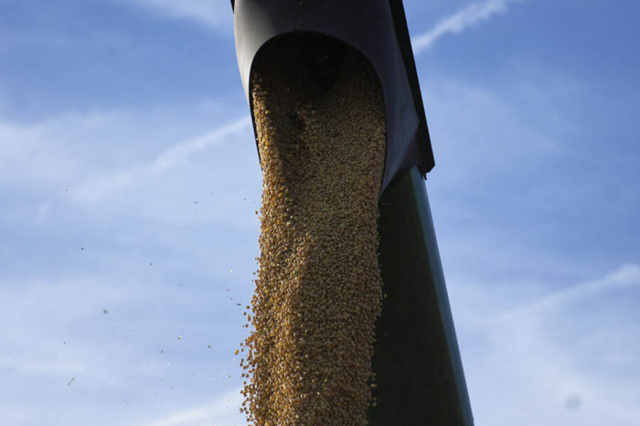 Querían destrabar la ley de semillas, pero la oposición en Diputados faltó a una reunión (diputado entrerriano al frente de comisión clave)