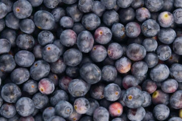 Arándanos: los productores mesopotámicos ratificaron a su presidente (referencia a Entre Ríos)