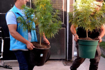 El 40 {10b083c464b21a2e5b96ab7d1950c6efda5949816d8d4b699d6508628a11a647} de las causas narco iniciadas en la Ciudad son por consumo personal (en Entre Ríos el delito fue desfederalizado)