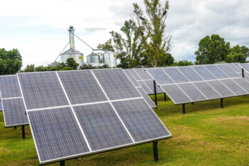 La onda verde llegó a los tambos: la Unión Europea certificó a un establecimiento de Entre Ríos y le posibilita exportar la leche