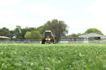 Productores entrerrianos piden al Gobierno provincial que en 10 días regularice las pulverizaciones
